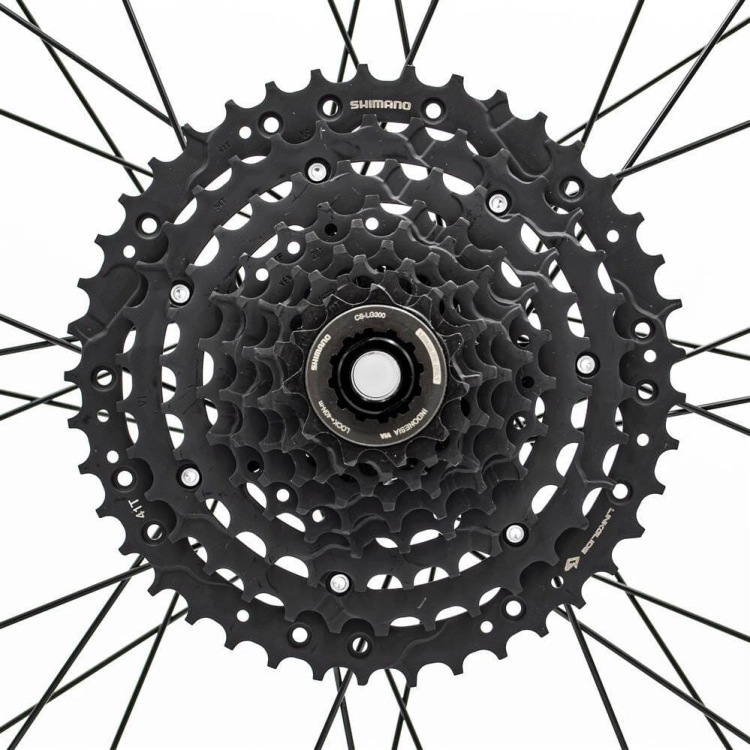pol_pl_Kaseta-Shimano-Cues-CS-LG300-9-rz-11-41-Linkglide-czarna-29431_3.jpg