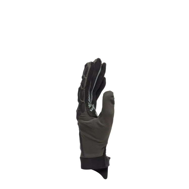 203819278_D07_2.png