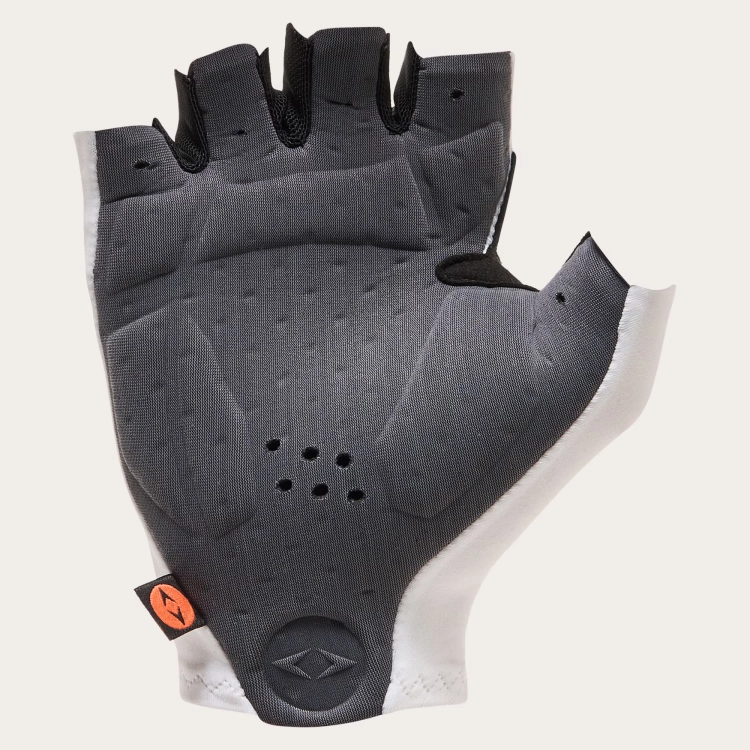FOS901803__100_dtl2.png