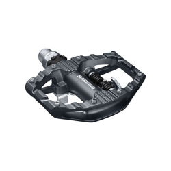 P-PD-EH500_2019NPP0031.jpg.thumb.png