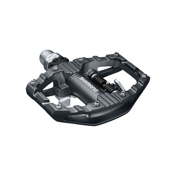 P-PD-EH500_2019NPP0031.jpg.thumb.png