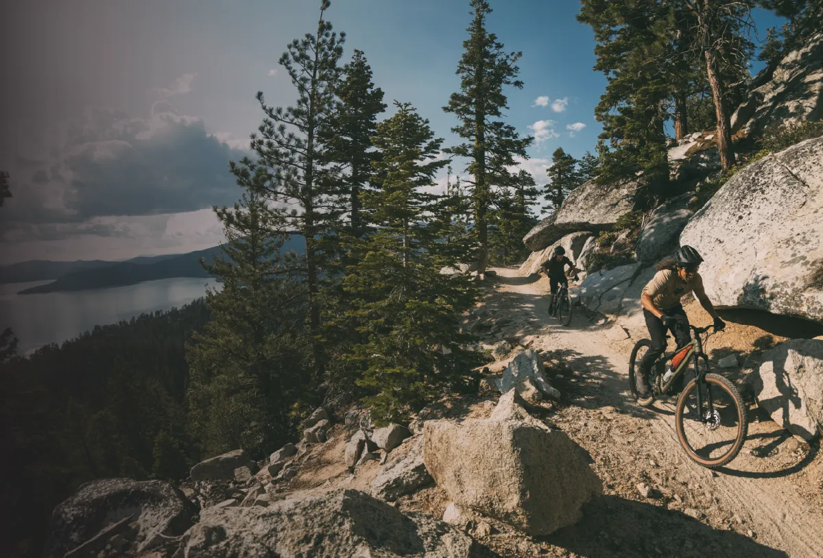 mtb